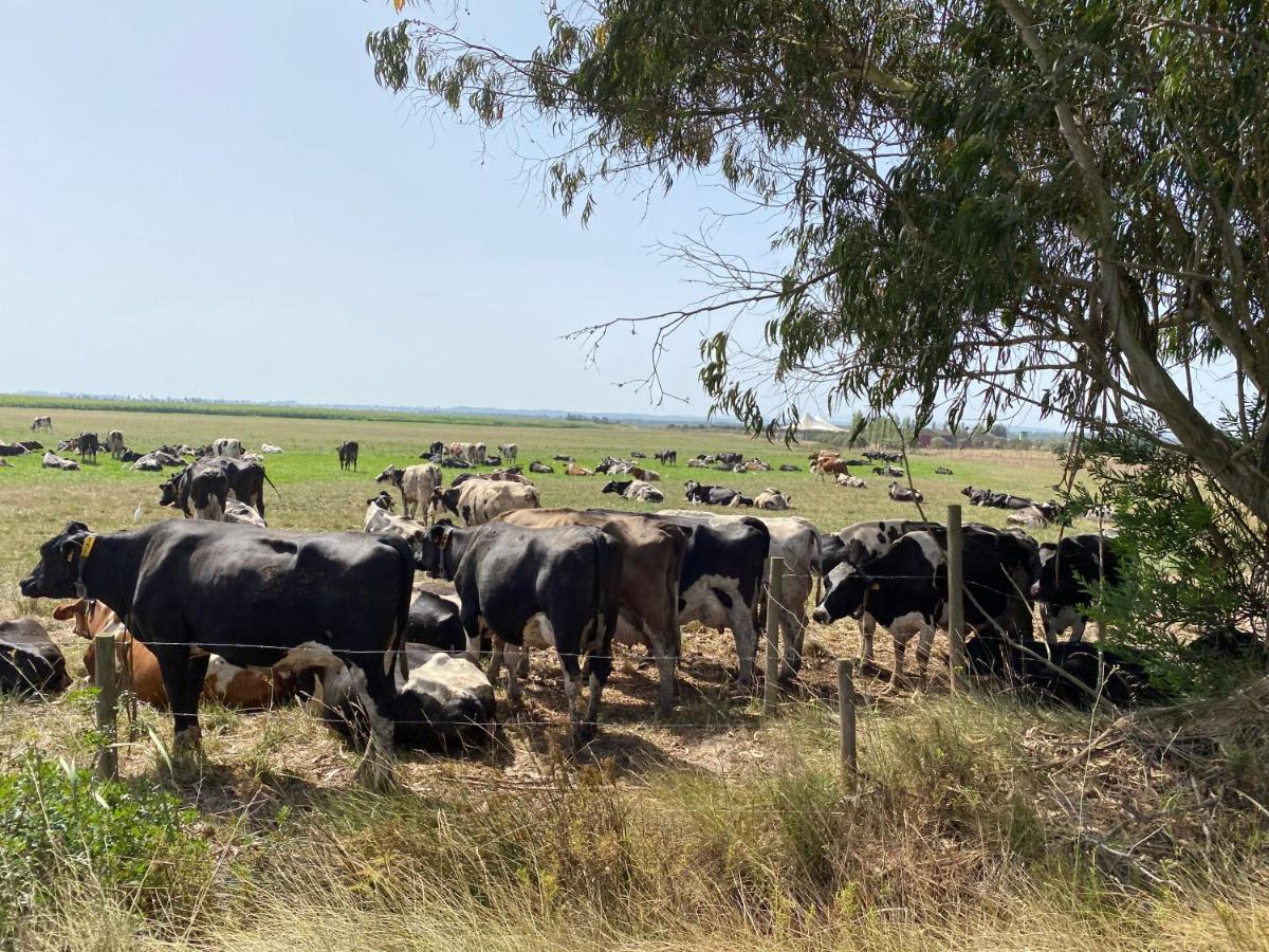 Casa Do Brejao Campo E Praia Odemira Dış mekan fotoğraf