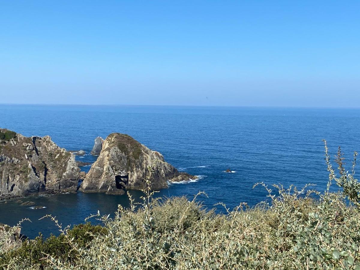 Casa Do Brejao Campo E Praia Odemira Dış mekan fotoğraf