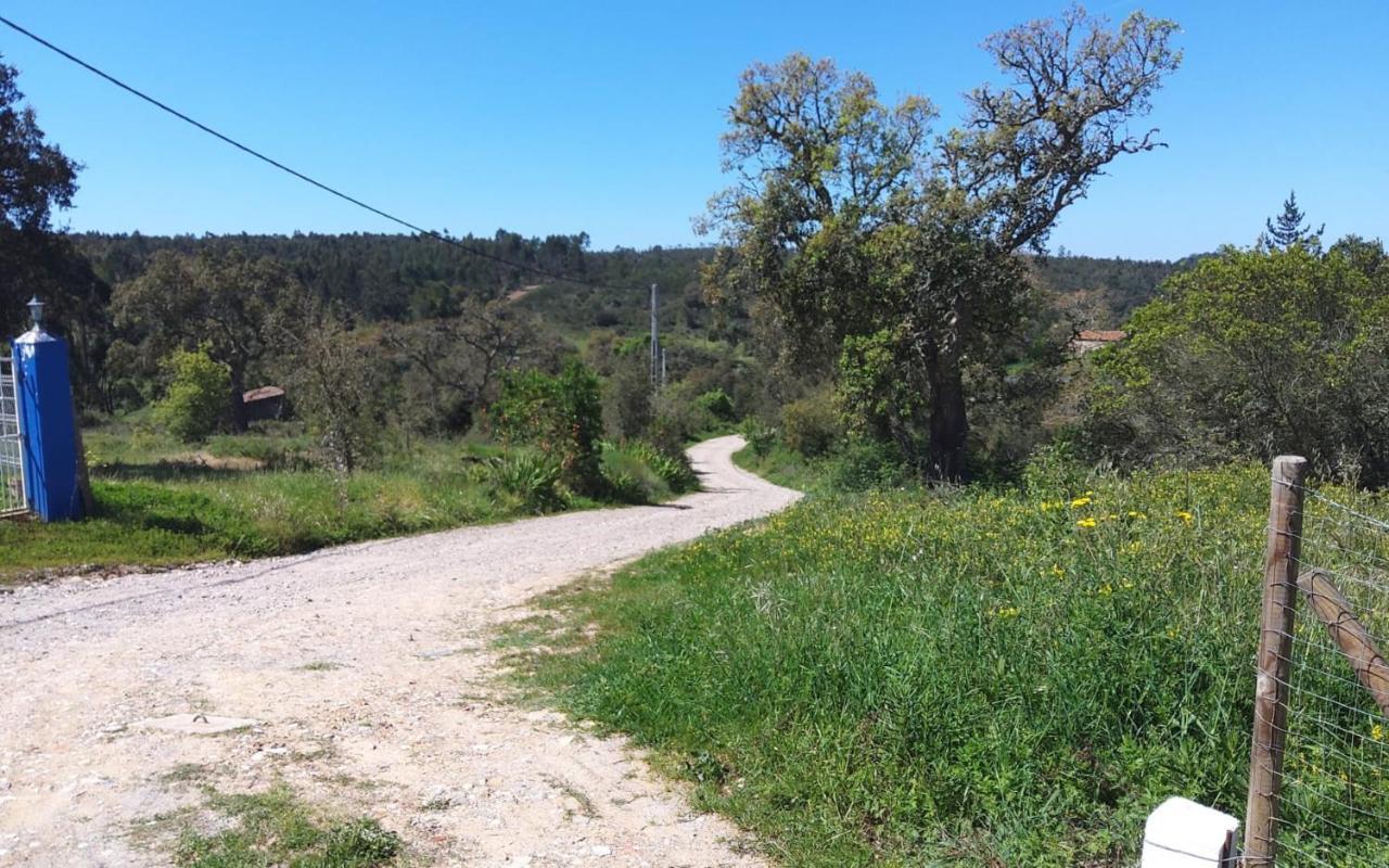 Casa Do Brejao Campo E Praia Odemira Dış mekan fotoğraf