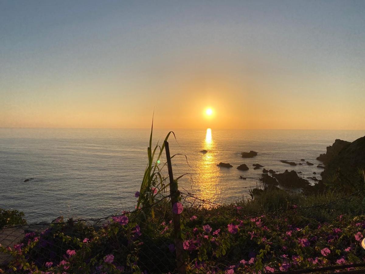 Casa Do Brejao Campo E Praia Odemira Dış mekan fotoğraf