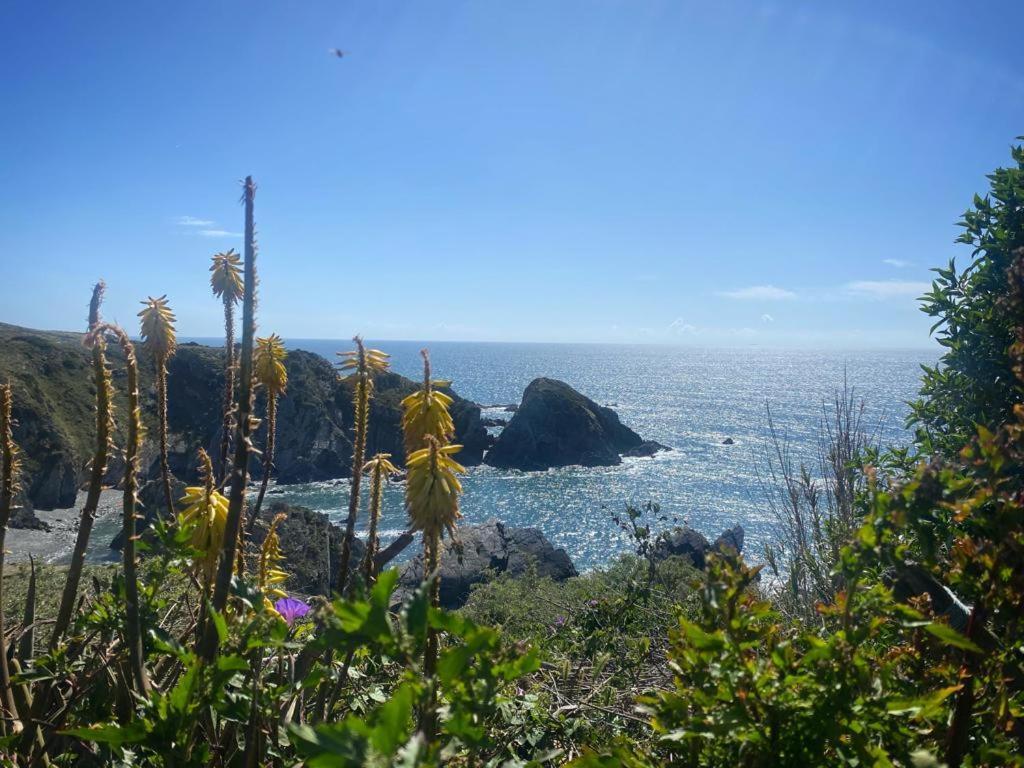 Casa Do Brejao Campo E Praia Odemira Dış mekan fotoğraf