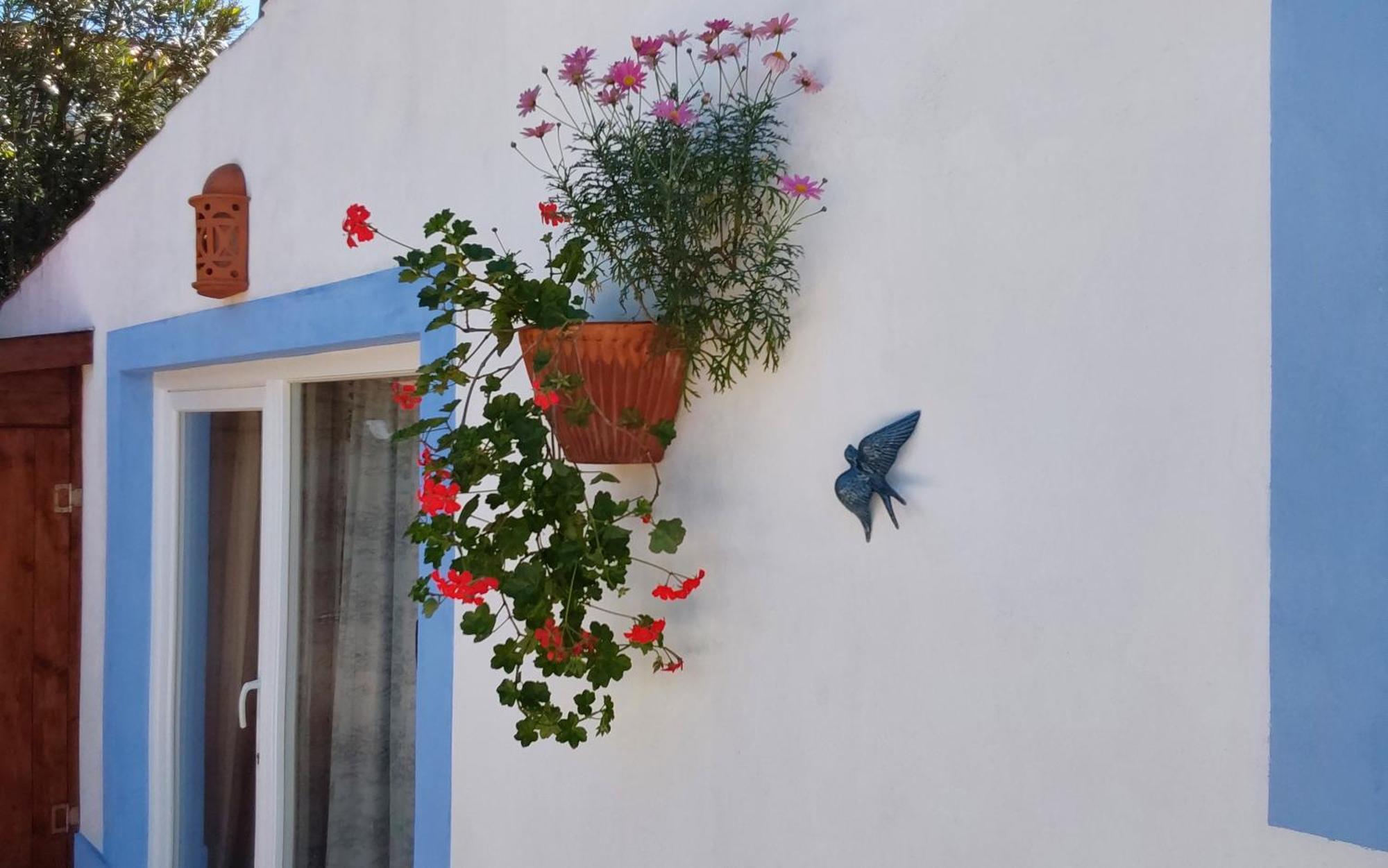 Casa Do Brejao Campo E Praia Odemira Dış mekan fotoğraf