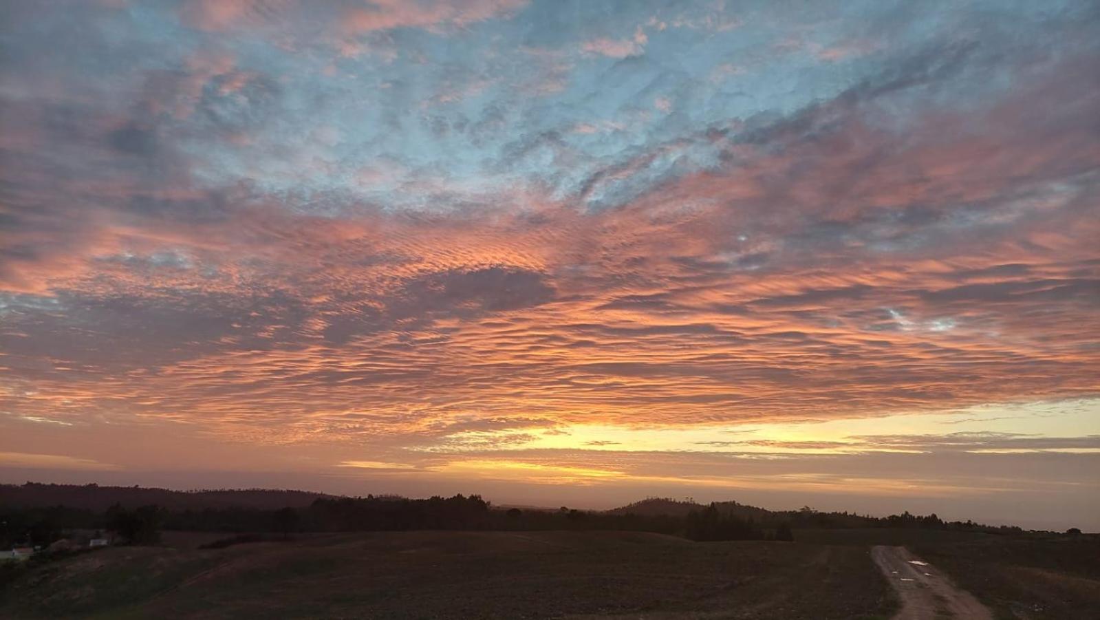 Casa Do Brejao Campo E Praia Odemira Dış mekan fotoğraf