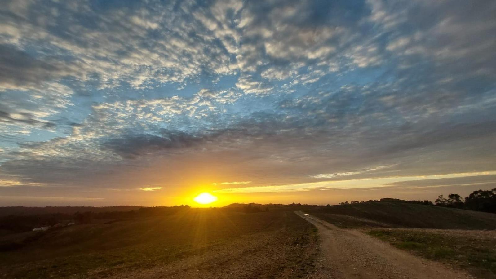 Casa Do Brejao Campo E Praia Odemira Dış mekan fotoğraf