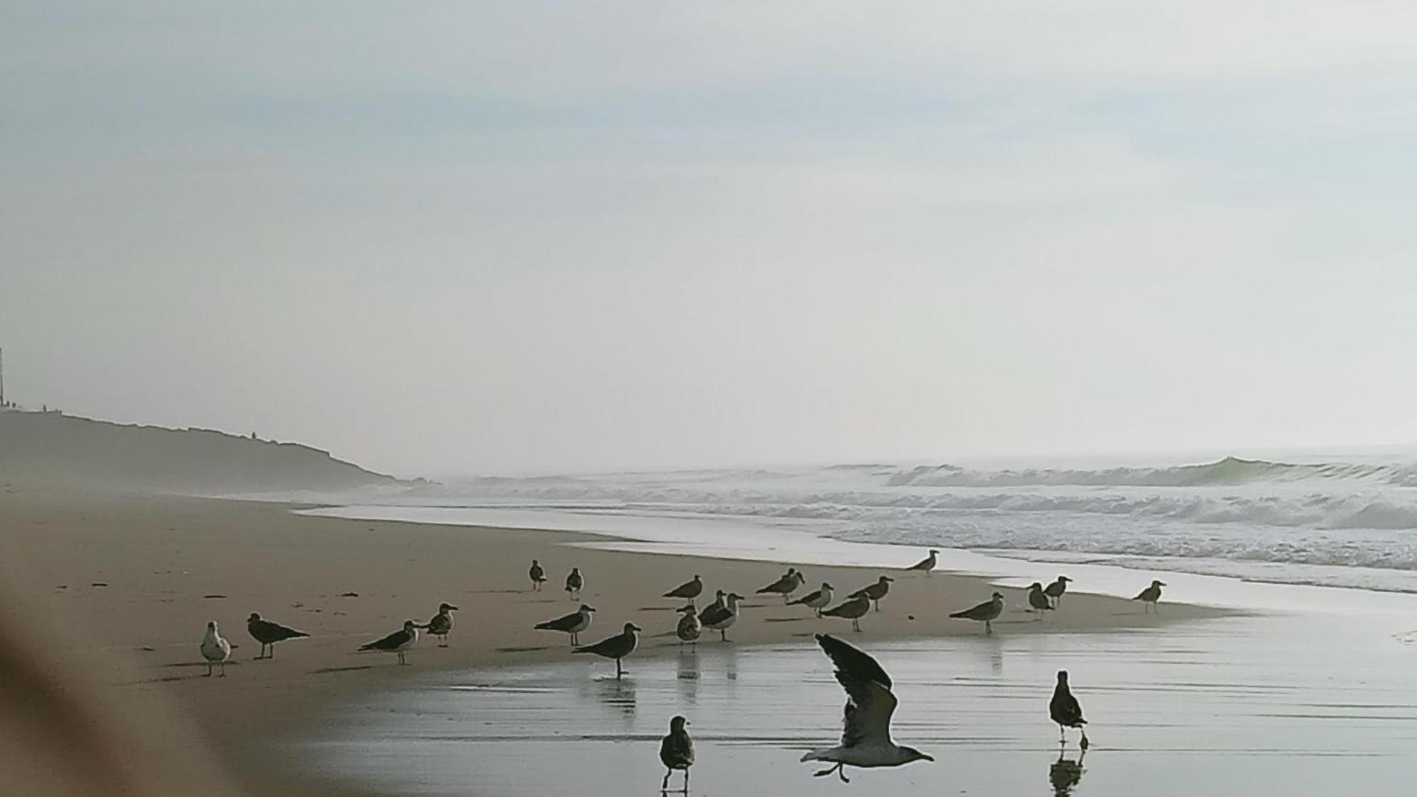 Casa Do Brejao Campo E Praia Odemira Dış mekan fotoğraf