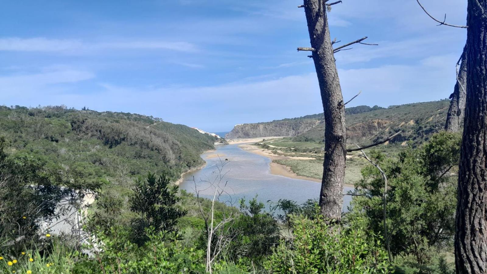 Casa Do Brejao Campo E Praia Odemira Dış mekan fotoğraf