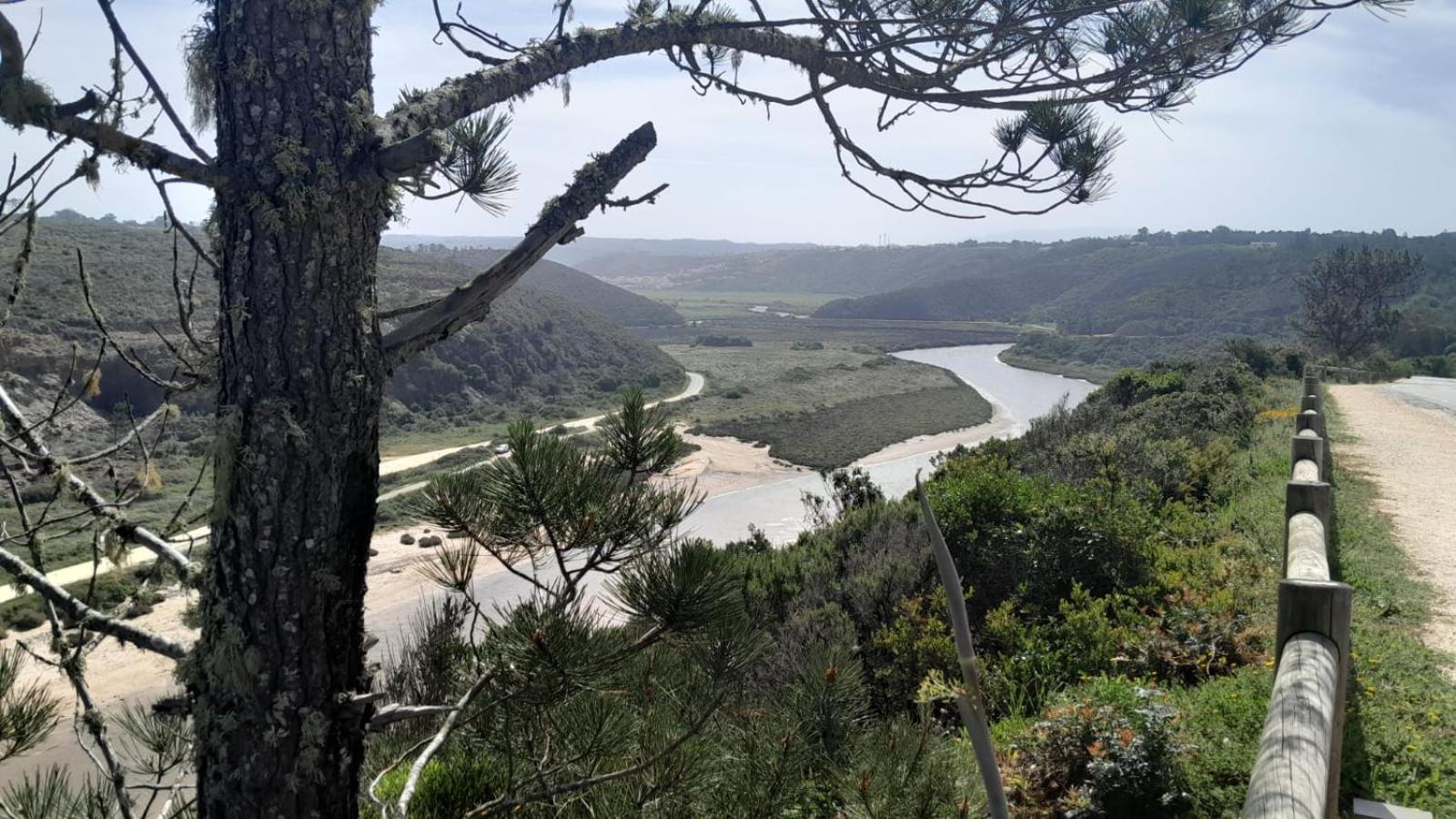 Casa Do Brejao Campo E Praia Odemira Dış mekan fotoğraf