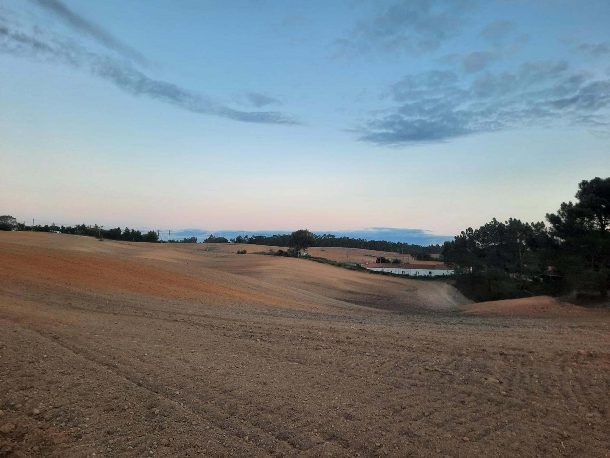 Casa Do Brejao Campo E Praia Odemira Dış mekan fotoğraf