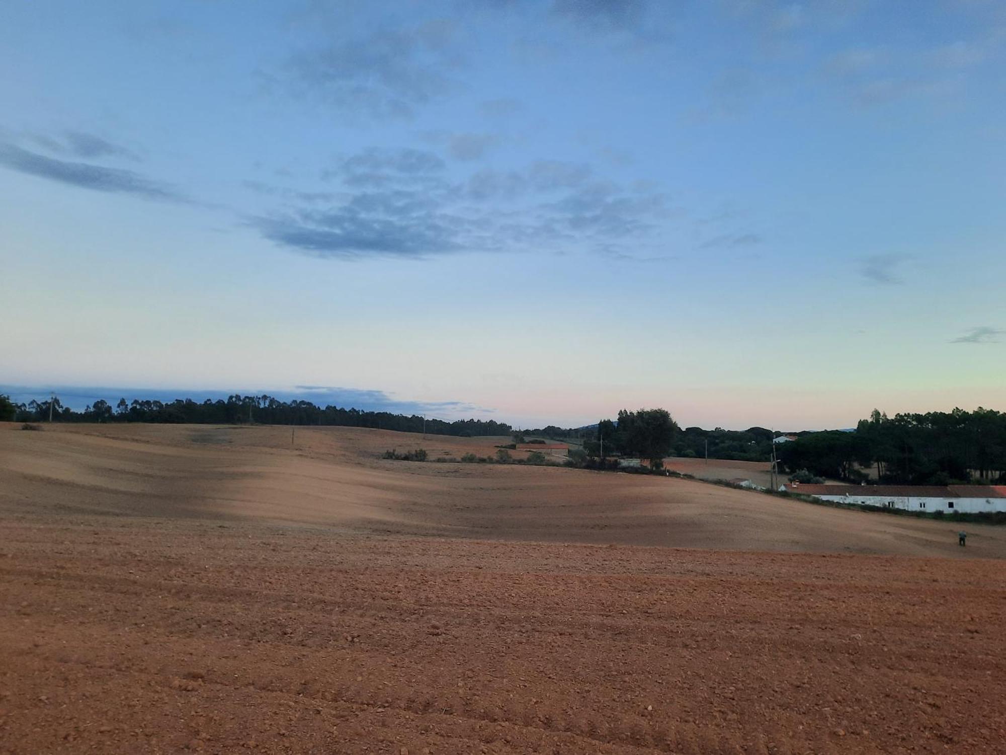 Casa Do Brejao Campo E Praia Odemira Dış mekan fotoğraf