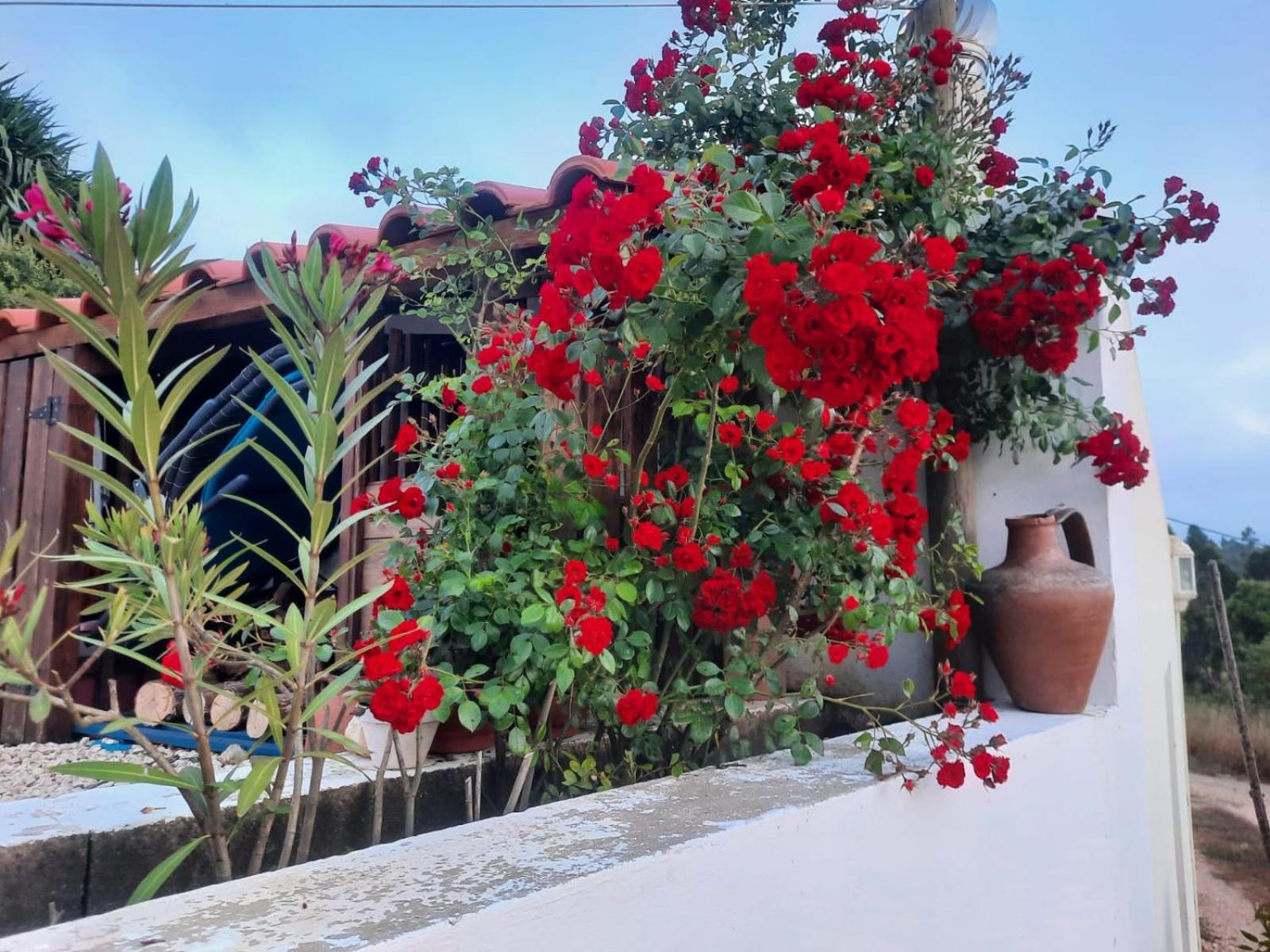 Casa Do Brejao Campo E Praia Odemira Dış mekan fotoğraf